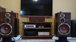 Слушаем Diatone DS-73D II