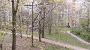 2024-05 вид из окна