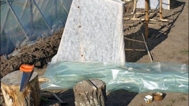 Выращиваем томаты без рассады смотреть онлайн