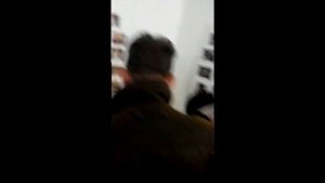 Среднеазиатские двухчубые, армавирские, северокавказскиe голуби. Выставка Германии   Herford, 09121