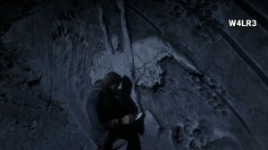 Все Наскальные Изображения в Red Dead Redemption 2 I Где находятся Все Наскальные Изображения в RDR