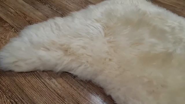 ШКУРА ОВЕЧЬЯ "ЗОЛОТОЕ РУНО" (КОД: 4279 ) смотреть онлайн