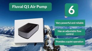 Best Aquarium Air Pump In 2020 – Top High Performance Pump For Aquarium