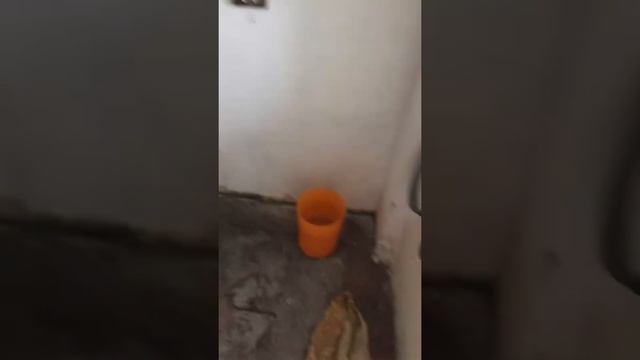 Квартира после пожара, ремонт и как избавиться от запаха пошагово 1 этап смотреть онлайн