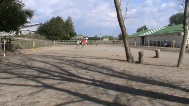 Арабский жеребец Шеклан и Евгения смотреть онлайн