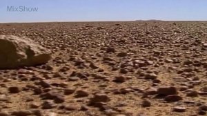 10 САМЫХ ОПАСНЫХ ЗМЕЙ В МИРЕ