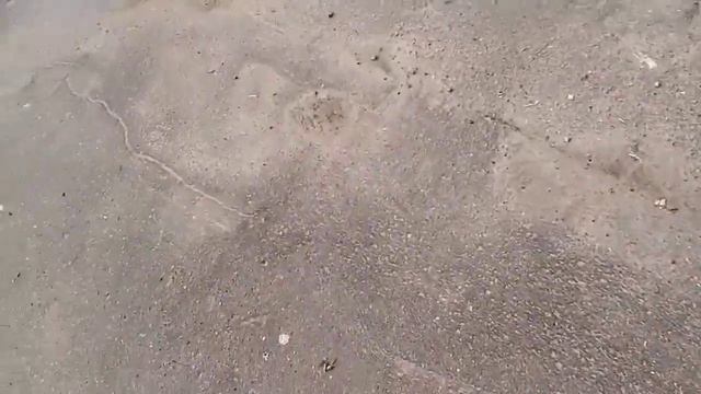 Влог в посёлок Пироговский. смотреть онлайн