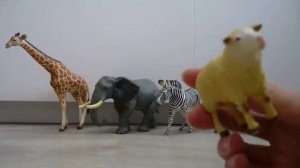 НАША КОЛЛЕКЦИЯ ДИКИХ ЖИВОТНЫХ/ АВСТРАЛИЙСКИЕ ЖИВОТНЫЕ (1 часть)