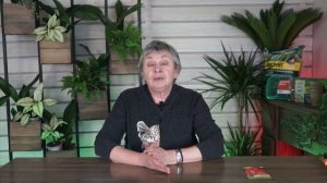 Вы сажаете перец не правильно ✔️ Эксперт расскажет Что посадить рядом с Перцем? ? Совместные посадк