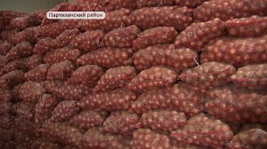 Современное овощехранилище строят в Партизанском районе