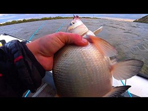 В МОРОЗ ! РЫБАЛКА С НОЧËВКОЙ НА ЗАКИДУШКИ!