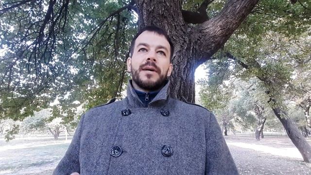 Деревья учат нас дарить любовь! Как?