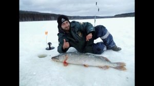 Лучшие экземпляры)))