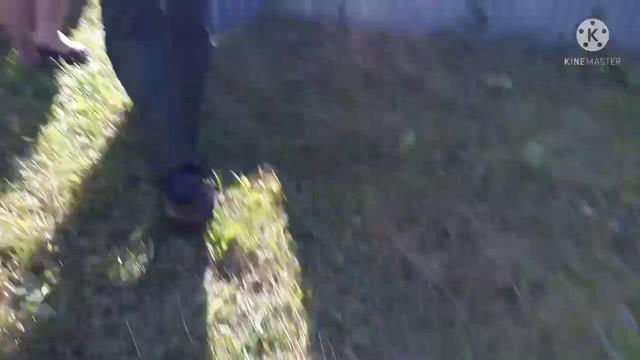 Забрали компьютерный стол смотреть онлайн