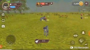 Я играю в симулятор волка играем за волка :-)