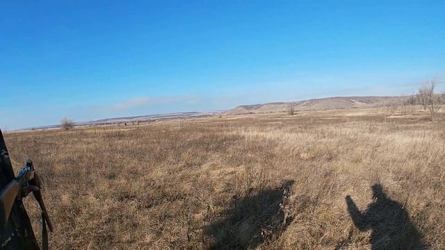 Открытие охоты на зайца.Сезон 2021-2022.Ночуем в палатке.Готовим еду на костре.