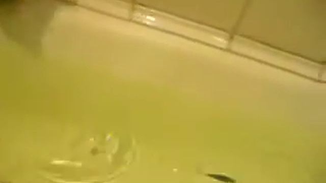 Воблер ручной работы из бальзы. НК 75мм. смотреть онлайн