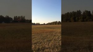 Дельталет - АТОМ, пилот - Лева Дельта