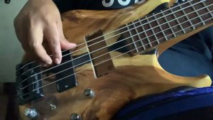 Review pickup bass ADX5