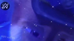 Starboy feat. Chase ⭐