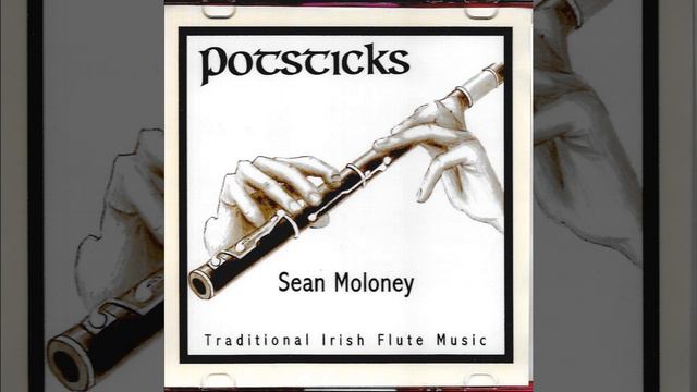 Sean Moloney : "The Train Journey" - Irish flute смотреть онлайн