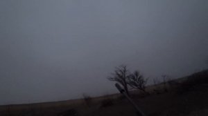 Охота на шакала Их много но как взять?