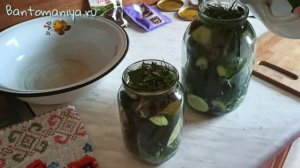 Как засолить огурцы на зиму в домашних условиях вкусно и быстро