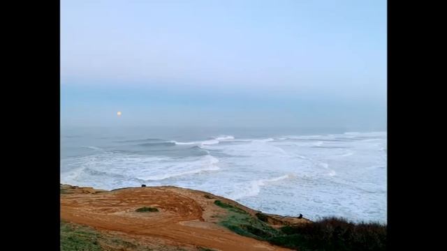 Стихи на португальском языке ко Всемирному дню поэзии смотреть онлайн