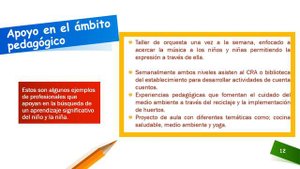 Nuestra Educación inicial Liceo Pedro Montt 2022