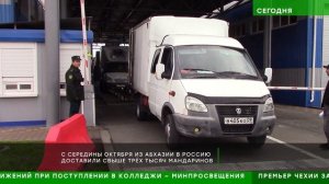 НТВ. На границе России и Абхазии настоящий "мандариновый бум"