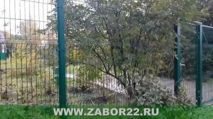 Сетчатое ограждение GARDIS 3D от компании ЗАБОР22