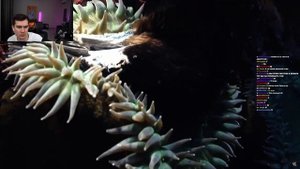 БРАТИШКИН СМОТРИТ - ВЕЛИКИЙ ТИХИЙ ОКЕАН: ПРОЖОРЛИВЫЙ / СТРИМ 25.07.2023