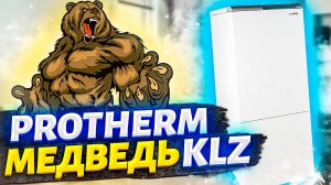 Протерм медведь klz | Котел протерм медведь klz | Protherm медведь klz