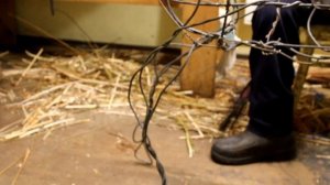 Создание скульптуры из лозы. Процесс.