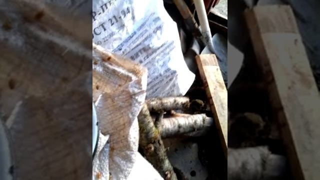 Самодельный птичий корм смотреть онлайн