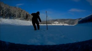 Клайский, Джойский, заливы.