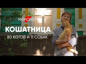 Со мной живут 80 КОШЕК и 11 СОБАК: #монолог кошатницы