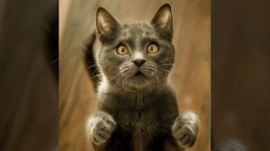 Бросил пить