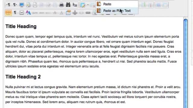 WYSIWYG Editor and pasting from Micosoft Word