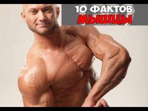10 фактов о мышцах! Юрий Спасокукоцкий - прямой эфир.  Начало в 20:30 по МСК Суббота 11.02