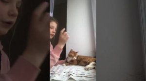 Как уговорить маму и папу чтобы купили Кота или кошку / Чубайсу 10месяцев