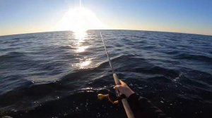 This Is Why You Kayak Fish MILES from the BEACH! (But It Got SKETCHY)