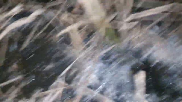 Рыбалка пикой... первый лед... щучка смотреть онлайн