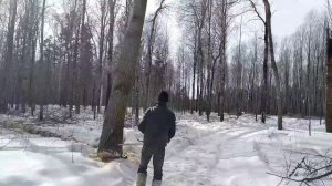 Пилим деляну,( внимание, ненормативная лексика)!