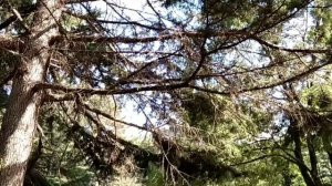 Дорога на юг. Места Силы Краснодарского Края.