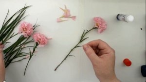 Гвоздика садовая своими руками/Dianthus handmade