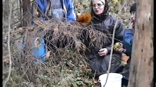 Грибы рядовки - Матрёшка, в Козьих Горах.* смотреть онлайн