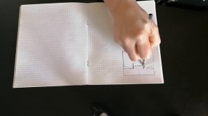 Выкройка комбинезона для собаки кратко в миниатюре