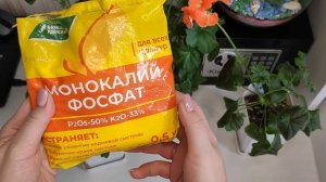 2 ЛУЧШИХ УДОБРЕНИЯ ДЛЯ ПЕЛАРГОНИЙ (ГЕРАНИ), Успейте Внести в Апреле, Для пышного и долгого цветения