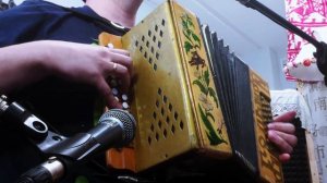 Один за весь цыганский хор! Мой костёр в тумане светит. Сергей Пушкин